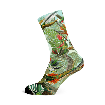 Socks by Haeckel (Trochilidae) | Painted