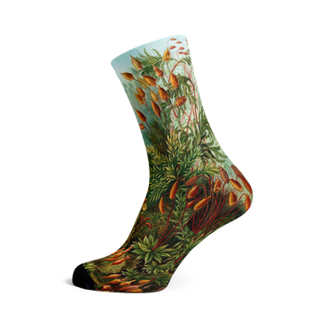 Socks by Haeckel (Mushrooms) | Painted